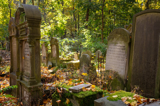 Cmentarz. Zabytkowy cmentarz żydowski w Warszawie