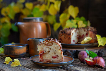 Homemade plum pie, close-up, selective focus
