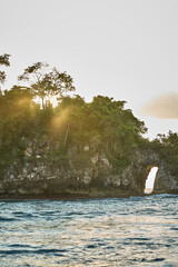 landscape with trees