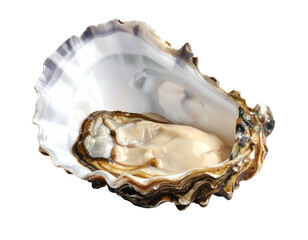 Naklejka premium Open oyster with creamy flesh nestled within shell, isolated on black background