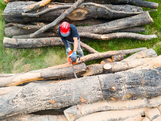 Lumberjack with a chainsaw cutting trees in the forest. Preparing firewood for winter. Top down view. Aerial view from drone
