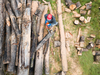 Lumberjack with a chainsaw cutting trees in the forest. Preparing firewood for winter. Top down view. Aerial view from drone
