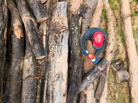 Lumberjack with a chainsaw cutting trees in the forest. Preparing firewood for winter. Top down view. Aerial view from drone
