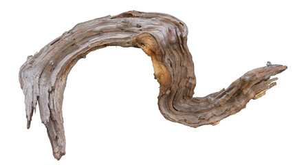 Weathered driftwood log. Driftwood isolated on transparent background