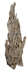 Naklejka premium Weathered driftwood log. Driftwood isolated on transparent background