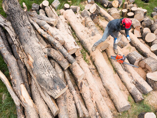 Lumberjack with a chainsaw cutting trees in the forest. Preparing firewood for winter. Top down view. Aerial view from drone
