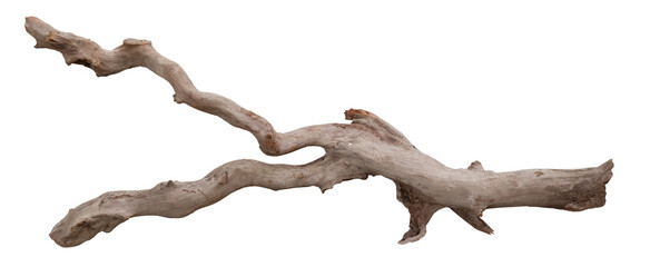 weathered driftwood log © POSMGUYS