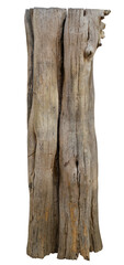 Fototapeta premium Broken tree branches with detached bark. Rustic wood branch. Weathered driftwood log isolated.