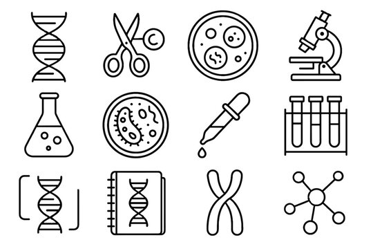 Chromosome flask petri molecular notebook genetic icon engineering lab bacterial vector culture