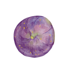 Colorful ripe fig.
Vector graphics.