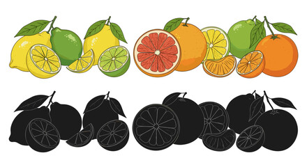 Fresh Citrus Fruits Arrangement: Lemons, Limes, Grapefruits, Oranges Assortment for Healthy Eating, Juicing, Detox Diet, Summer Drinks. Vibrant Colored Vector Graphic for Recipes, Nutrition Guides, Ma