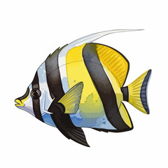 Isolated heniochus acuminatus on white background showcases tropical fish. This vibrant tropical fish, with its striking colors, is a graceful swimmer in warm waters,