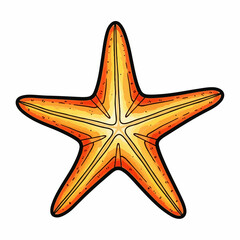 Orange starfish for marine themed design projects, starfish providing element for ocean-themed designs and materials. Starfish illustration is great for summer vacation templates,