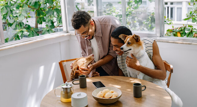 Happy couple enjoying breakfast with rescue dogs and pão de queijo at home