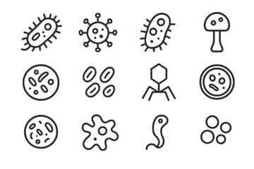 Fototapeta na wymiar Petri icon compilation culture dish microorganism vector amoeba fungus colony bacteria bacteriophage