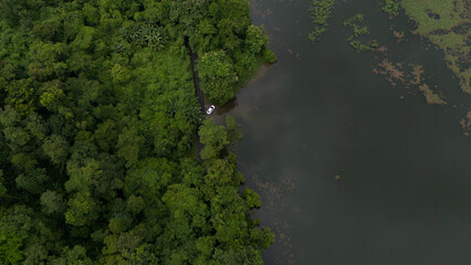 waterfall in the forest