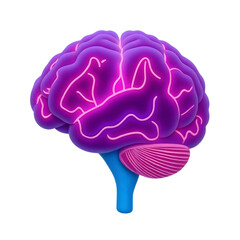Glowing purple human brain anatomy isolated on transparent background