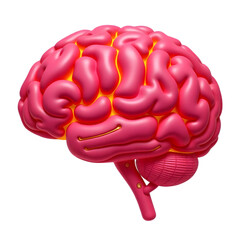 Pink human brain model isolated on transparent background