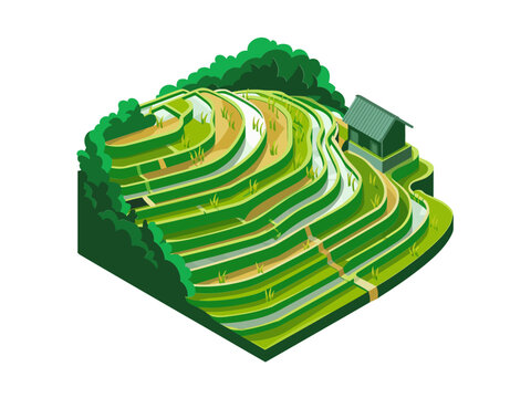 Isometric rice terrace hillside, green layered farmland landscape, mountain village path, irrigation channels, rural agriculture scene vector
