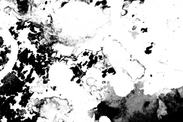 Acrylic Heavy Paint Splatters brush strokes and spots overlay transparent background grunge