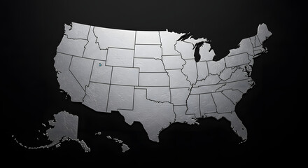 A Stylish Silver Map of the United States for Patriotic Designs