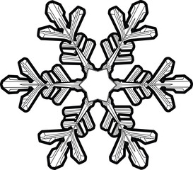 Snowflake icon illustration, black and white ice crystal, symmetrical winter symbol, nature geometry graphic, cold weather vector, seasonal design element
