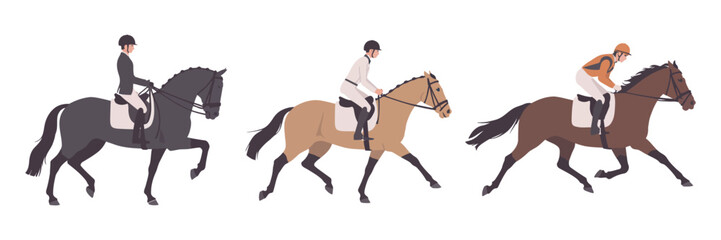 Illustrations of equestrians and their horses in various competitive riding sports