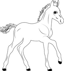 Young horse line art illustration, cute foal outline drawing, black and white pony sketch for coloring book. Farm animal design, equestrian, pet and wildlife vector art