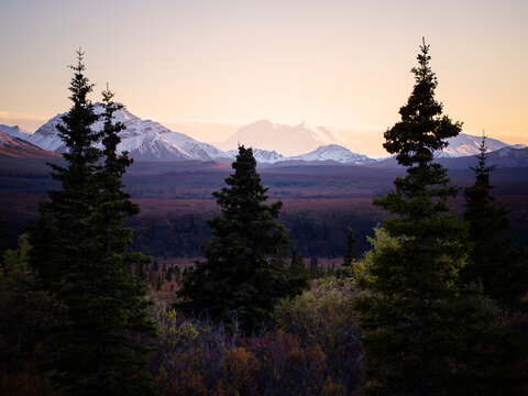 Mountain McKinney In Autumn - in Denali National Park, fall is moving into everywhere from grass, trees, rivers and mountains. The landscape is covered by all kinds of colors majestically. 