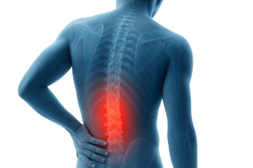 Man anatomy with back pain isolated on transparent background