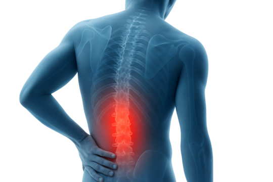 Man anatomy with back pain isolated on transparent background