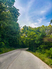 Fototapeta premium winding road in the forest