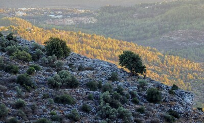 autumn in the Galille mountains