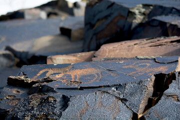 Archaeological petroglyph animals on rock, Bronze Age, Tamgaly (also known as Tanbaly) Kazakhstan, Central Asia