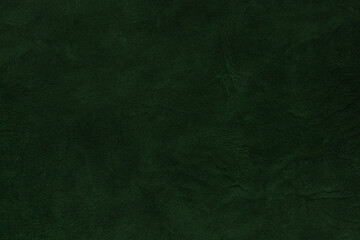 Beautiful green background with leather texture