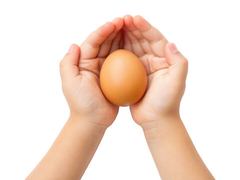 A pair of hands gently holding a brown egg.
