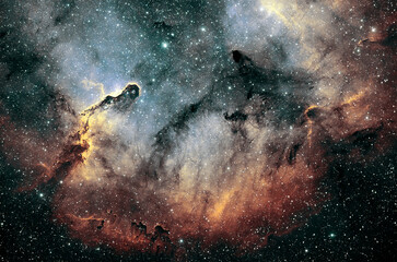 Elephant Trunk Nebula