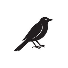 Obraz premium Perched Bird Silhouette – Minimalist Black Profile Illustration with Pointed Beak and Tail Feathers