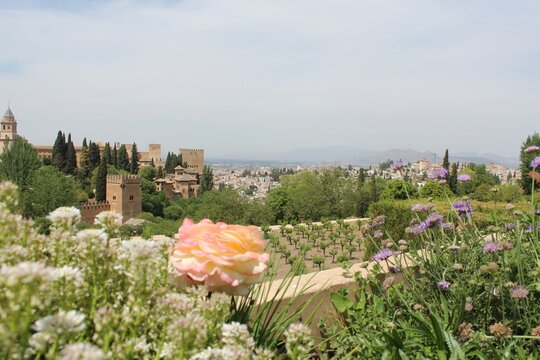 view of Granada, Spain, from the Partal alto de la Alhambra garden