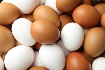 Many raw chicken eggs as background, closeup