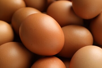 Many raw chicken eggs as background, closeup