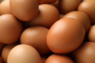 Many raw chicken eggs as background, closeup
