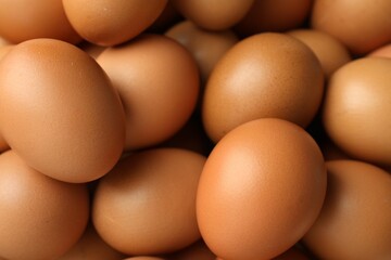 Many raw chicken eggs as background, closeup