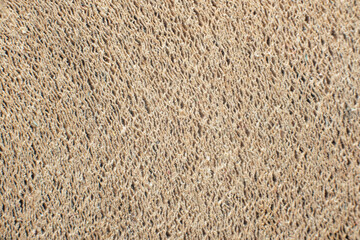 Toilet paper texture macro roll layers cardboard pattern background