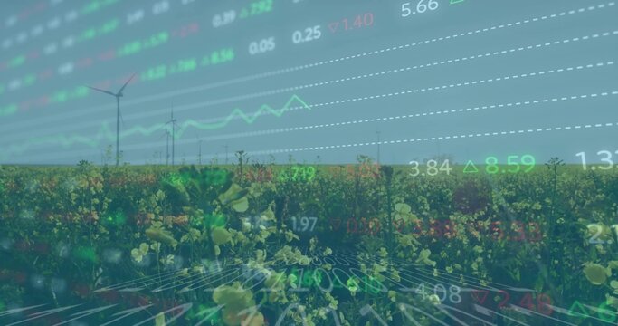 Displaying yellow flowering crops and white wind turbines in rural field, overlaying financial data