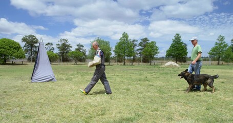 Walking man in protective bite suit toward blind at training field, handler leading German shepherd