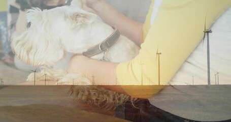 Sitting small white dog with leather collar occupying lap at home, with wind turbines, copy space