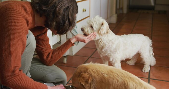 Kneeling adult woman feeding two dogs in home kitchen, with metal dog bowls, copy space