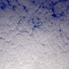 Vast Blue Sky Covered with Dense Altocumulus Cloud Texture