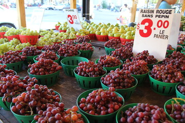 カナダ街中スナップ